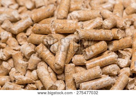 Close-up Macro Filler For Cat Pet Pet Toilet. Pressed Wood Sawdust Egology Clean, No Smell For The H