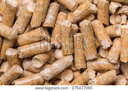 Close-up Macro Filler For Cat Pet Pet Toilet. Pressed Wood Sawdust Egology Clean, No Smell For The H