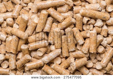 Close-up Macro Filler For Cat Pet Pet Toilet. Pressed Wood Sawdust Egology Clean, No Smell For The H