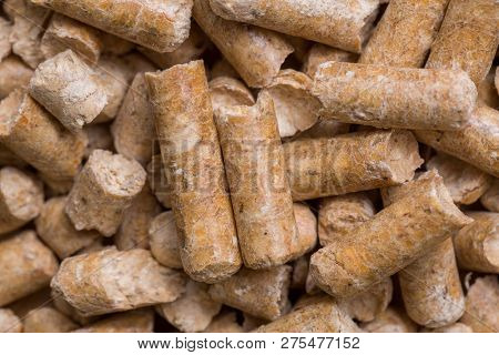 Close-up Macro Filler For Cat Pet Pet Toilet. Pressed Wood Sawdust Egology Clean, No Smell For The H