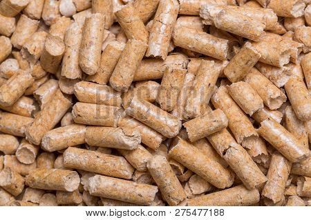 Close-up Macro Filler For Cat Pet Pet Toilet. Pressed Wood Sawdust Egology Clean, No Smell For The H