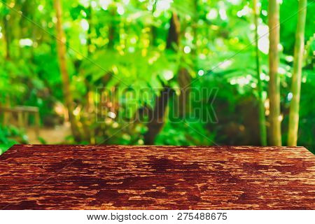 Selective Focus Of Empty Old Wood On Blur Nature Green Leaf With Bokeh.