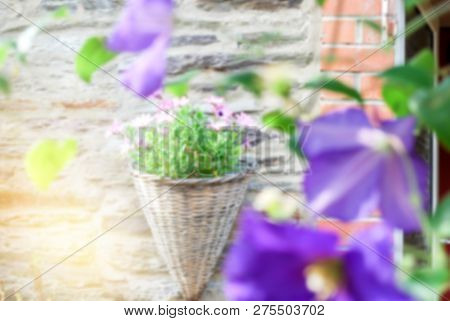Blur Background,beautiful Small Climatis  Climbing In Fend Under Transparent Roof With Green Leaves