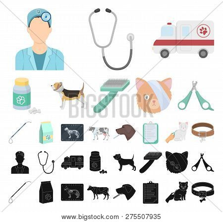 Veterinary Clinic Cartoon, Black Icons In Set Collection For Design. Treatment Of A Pet Vector Symbo