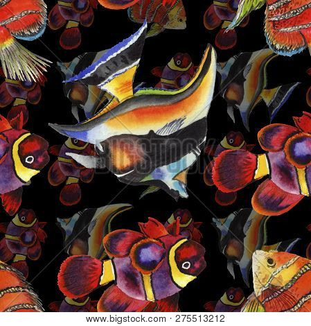 Watercolor Aquatic Underwater Colorful Tropical Fish Illustration Set. Seamless Background Pattern.