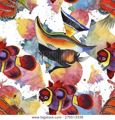 Watercolor Aquatic Underwater Colorful Tropical Fish Illustration Set. Seamless Background Pattern.