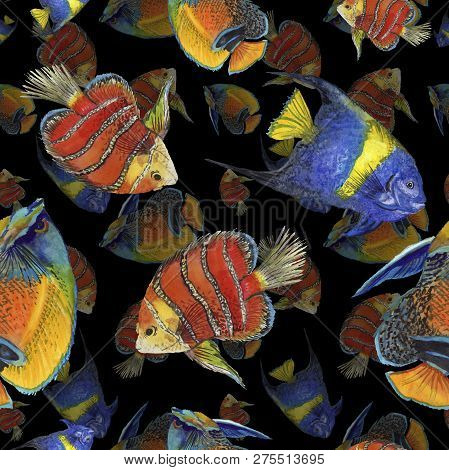 Watercolor Aquatic Underwater Colorful Tropical Fish Illustration Set. Seamless Background Pattern.