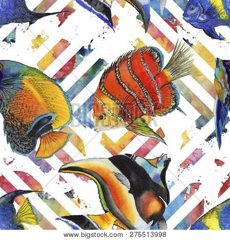 Watercolor Aquatic Underwater Colorful Tropical Fish Illustration Set. Seamless Background Pattern.
