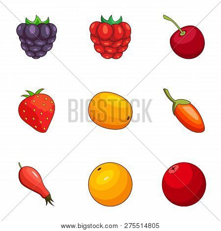 Berry Field Icons Set. Cartoon Set Of 9 Berry Field Icons For Web Isolated On White Background