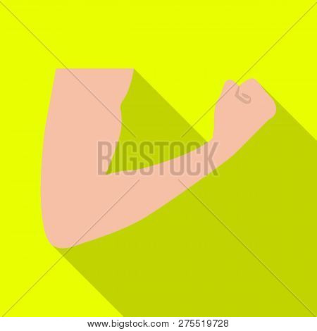 Vector Illustration Of Human And Part Sign. Collection Of Human And Woman Stock Symbol For Web.