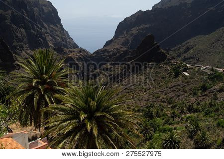 Vew Of The Macizo De Teno Mountains And Masca Gorge. Tenerife. Canary Islands. Spain.