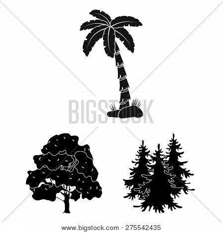 Vector Illustration Of Tree  And Forest Logo. Set Of Tree  And Green Vector Icon For Stock.