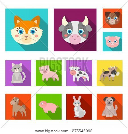 Vector Illustration Of Animal And Habitat Logo. Set Of Animal And Farm Vector Icon For Stock.
