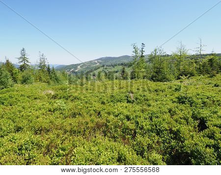 Salmopol Pass Near Kotarz Mount At Silesian Beskids Mountains Range Landscapes Above Brilliant Europ