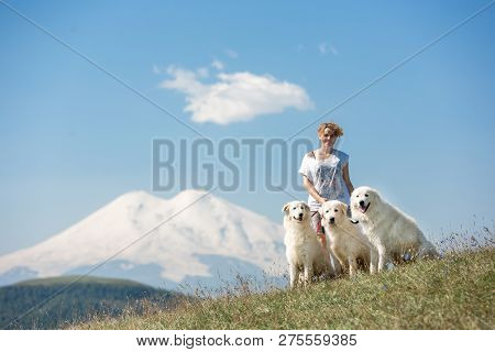 Beautiful Women And Three Cool White Dogs Morema Sit On Grass In Mountain