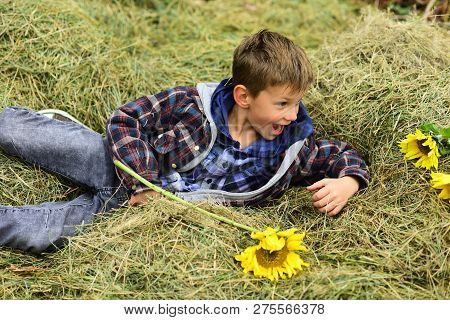 Just Relax. Little Child Relax In Hayloft. Little Child Lying In Hayloft In Countryside. A Wonderful