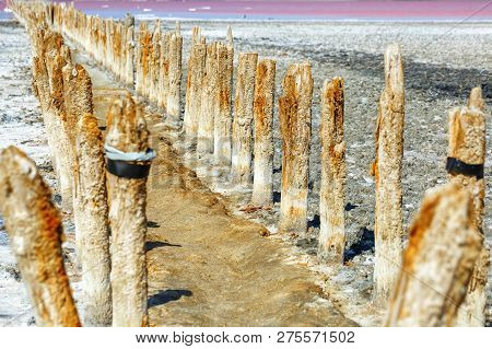 Wooden Posts On Salt Lake Salt Mining
