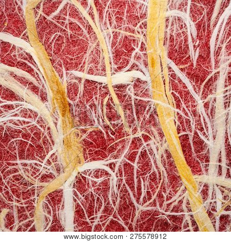 Natural Thai mulberry kozo paper against red background