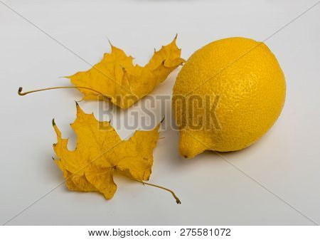 Beautiful Dry Maple Leaf And Lemon On White Wooden Background