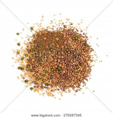 Edible Seed Mix With Dry Radish, Mustard, Lentils, Alfalfa Seeds
