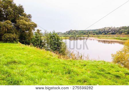 Juicy Grass, Growing Trees, Flowing River In Nemun National Park Forest