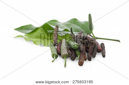 Long Pepper Isolated On The White Background.