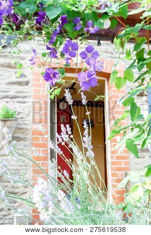 Beautiful Small Climatis  Climbing In Fend Under Transparent Roof With Green Leaves Blur Background.