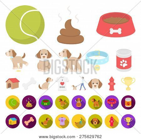 Pet Dog Cartoon, Flat Icons In Set Collection For Design. Caring For The Puppy Vector Symbol Stock W