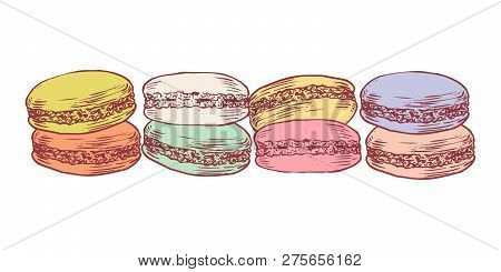 Delicious Hand Drawn French Macarons. Engraving Style Pen Pencil Painting Retro Vintage Vector Linea