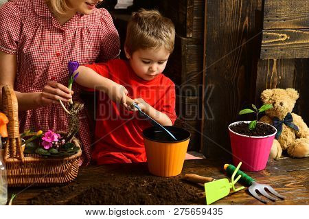 Flowerpot Concept. Small Boy Put Soil In Flowerpot. Child Plant Flower In Flowerpot. Flowerpot With 