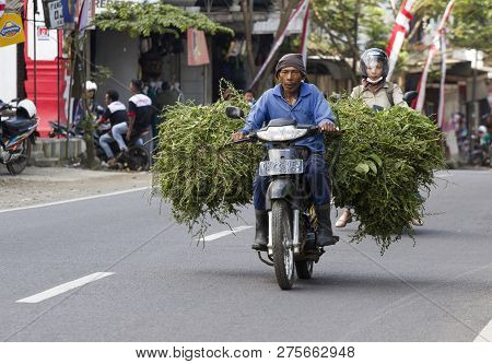 Kalibaru,java ,indonesie -19 Augustus ,2018: Indonesian Farmer Transports Just Harvested Cane Sugar 