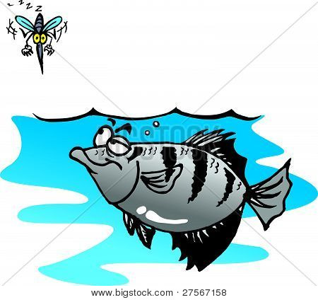 アーチャー魚