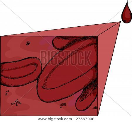 Blodkroppar förstoras