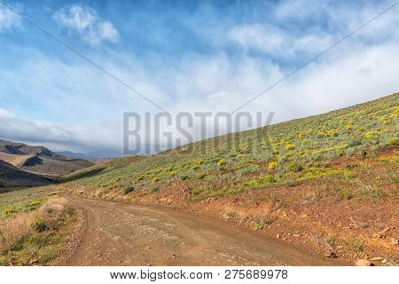 The Road Between Matjiesrivier And Wupperthal In The Cederberg Mountains Of The Western Cape Provinc