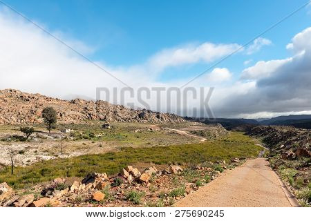 The Road Between  Matjiesrivier And Wupperthal In The Cederberg Mountains Of The Western Cape Provin