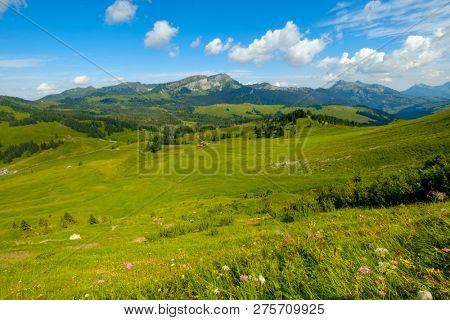 Summer time mountain nature panoramic landscape near Habkern, Switzerland