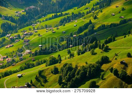 Summer time mountain nature panoramic landscape near Habkern, Switzerland