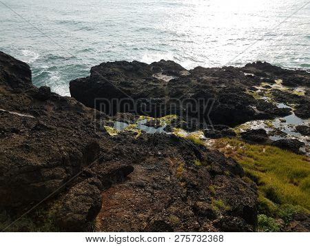 Green Grass And Tidepools And Rocky Shore And Ocean