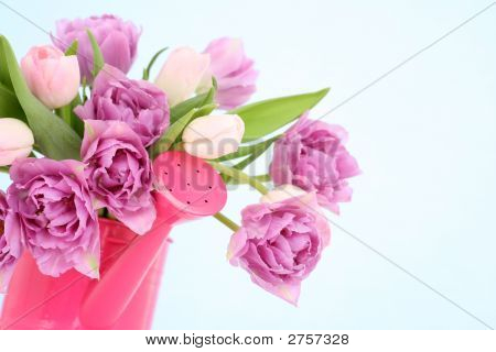 Tulipes