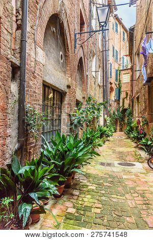 Medieval Narrow Street Vicolo Degli Orefici In Old City Siena, Tuscany, Italy.