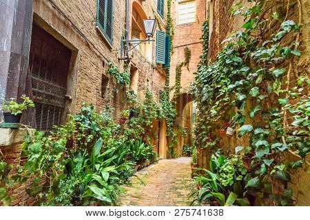 Medieval Narrow Street Vicolo Degli Orefici In Old City Siena, Tuscany, Italy.