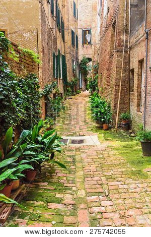 Medieval Narrow Street Vicolo Degli Orefici In Old City Siena, Tuscany, Italy.