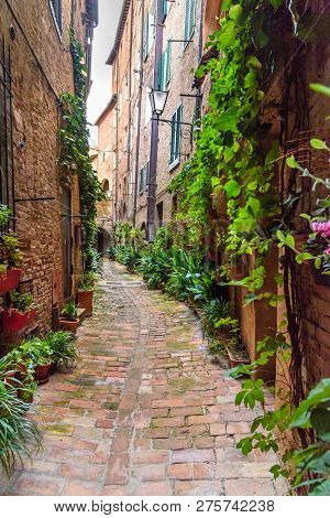 Medieval Narrow Street Vicolo Degli Orefici In Old City Siena, Tuscany, Italy.