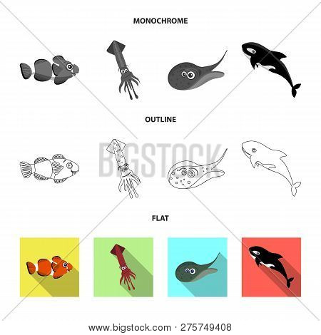 Vector Design Of Sea And Animal Logo. Collection Of Sea And Marine Stock Vector Illustration.