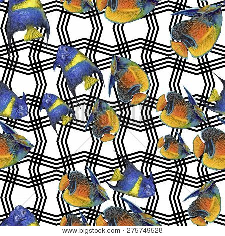 Watercolor Aquatic Underwater Colorful Tropical Fish Illustration Set. Seamless Background Pattern.