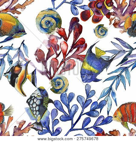 Watercolor Aquatic Underwater Colorful Tropical Fish Illustration Set. Seamless Background Pattern.
