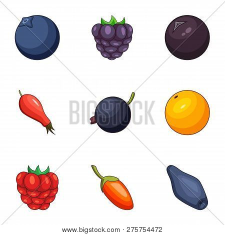 Forest Berry Icons Set. Cartoon Set Of 9 Forest Berry Icons For Web Isolated On White Background