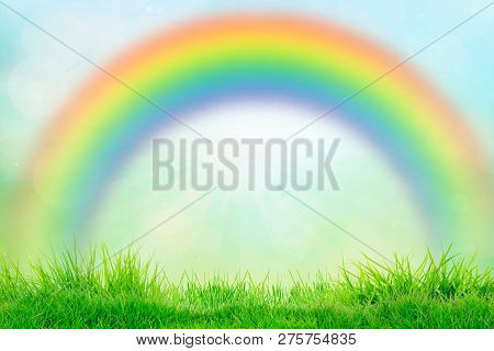 Natural Green Background Grass On The Rainbaw Summer Or Spring Day Background