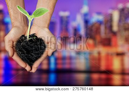 Concept To The Problem Of The Environment - Burning Of Garbage. Incineration Plants Are Harmful To T