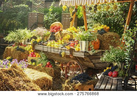 Seasonal Agricultural Market Goods Display. Colorful Fruits And Vegetables For Autumn Decorations At